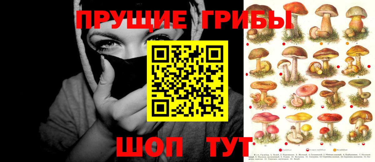 Псилоцибиновые грибы ЛСД Киржач