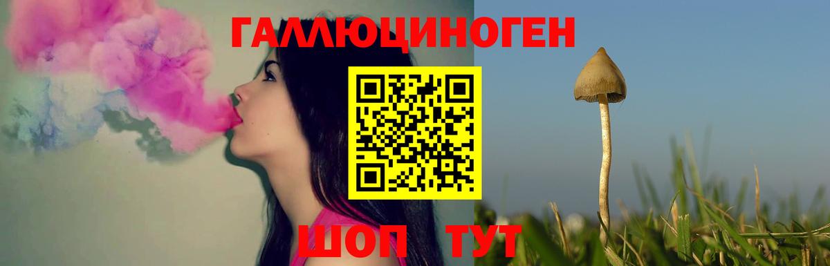 Псилоцибиновые грибы Psilocybe  купить закладку  Киржач  Вход с VPN 